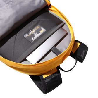 Borealis classic deals litri
