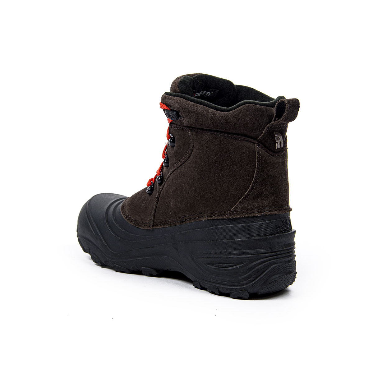 chilkat lace ii