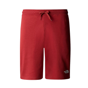 THE NORTH FACE - GRAPHIC LIGHT SHORTS