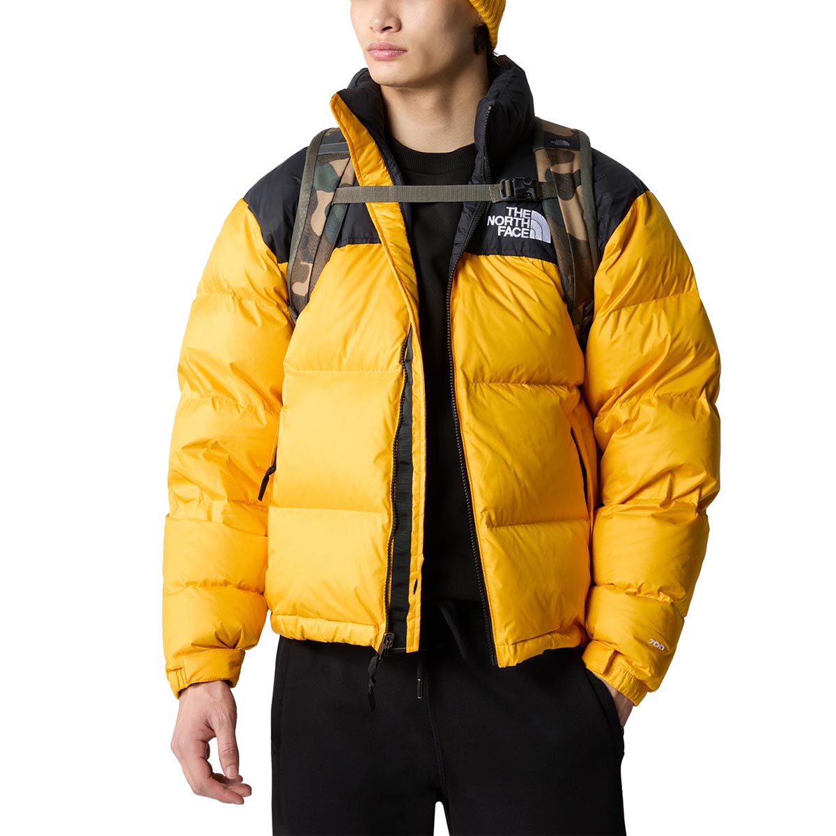 THE NORTH FACE - JESTER