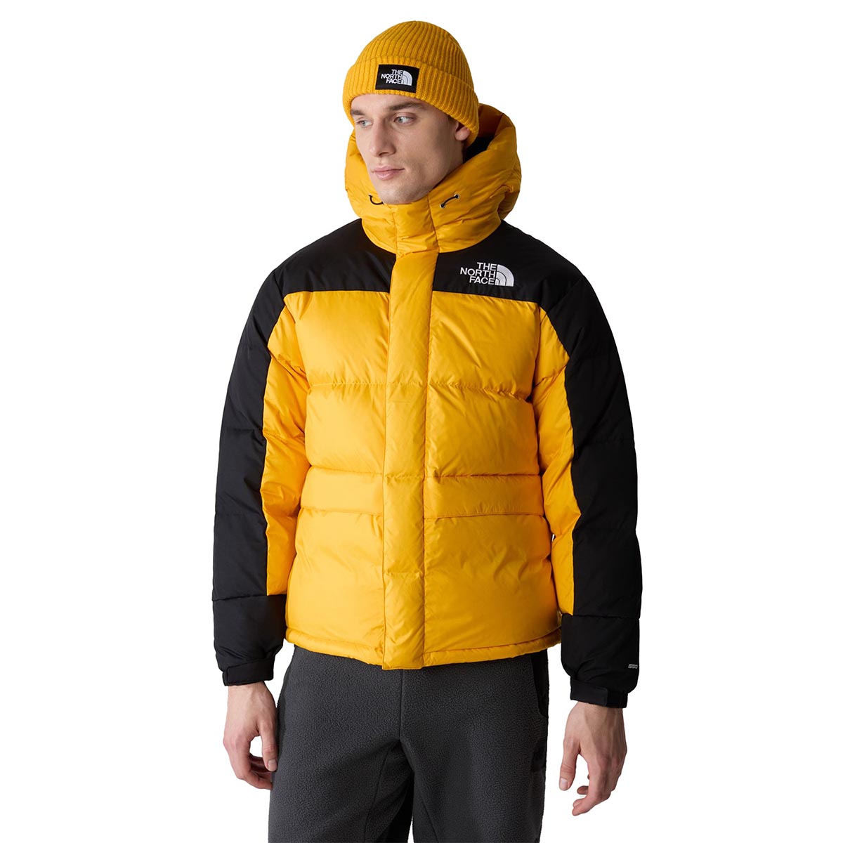 THE NORTH FACE - HIMALAYAN DOWN PARKA