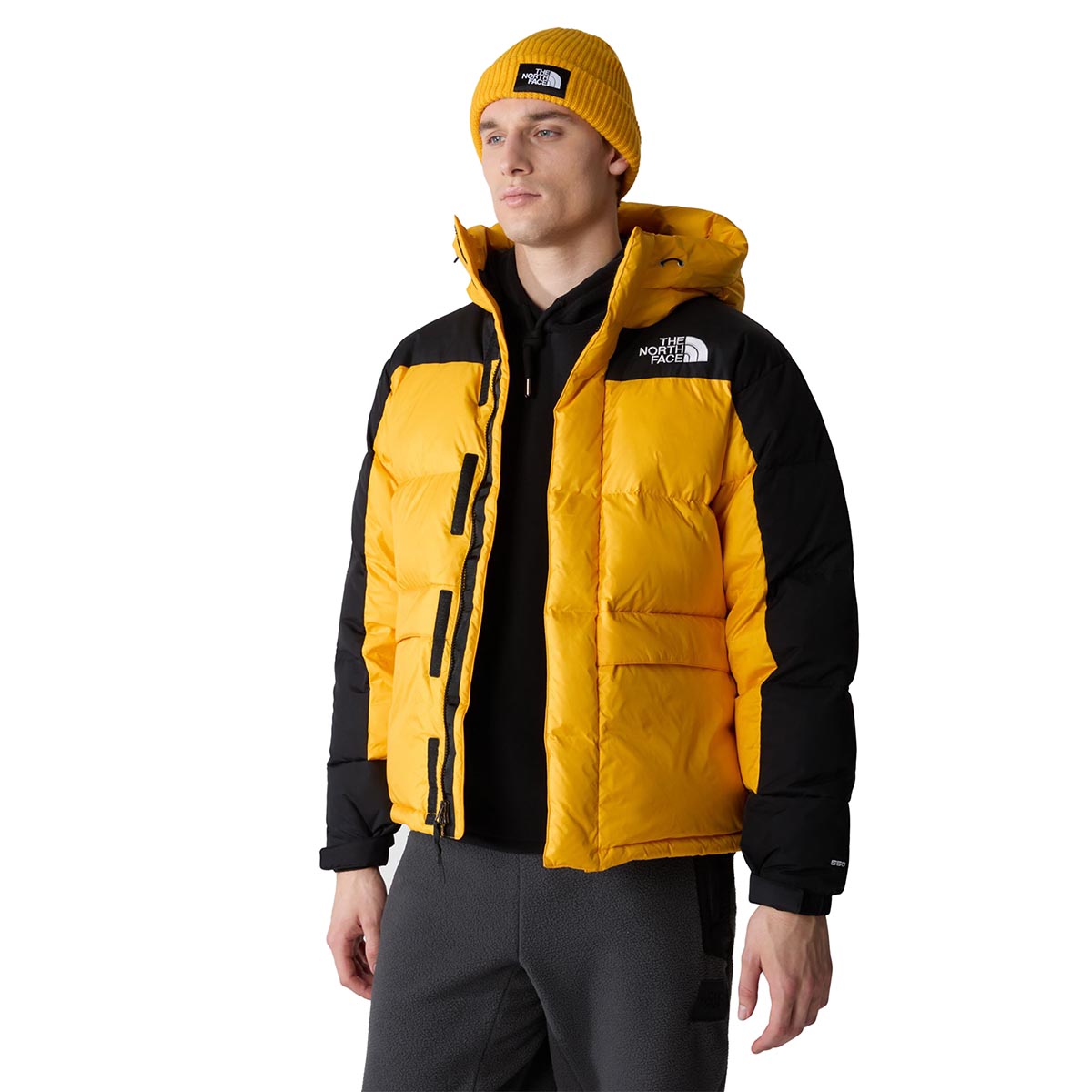 THE NORTH FACE - HIMALAYAN DOWN PARKA