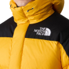 THE NORTH FACE - HIMALAYAN DOWN PARKA