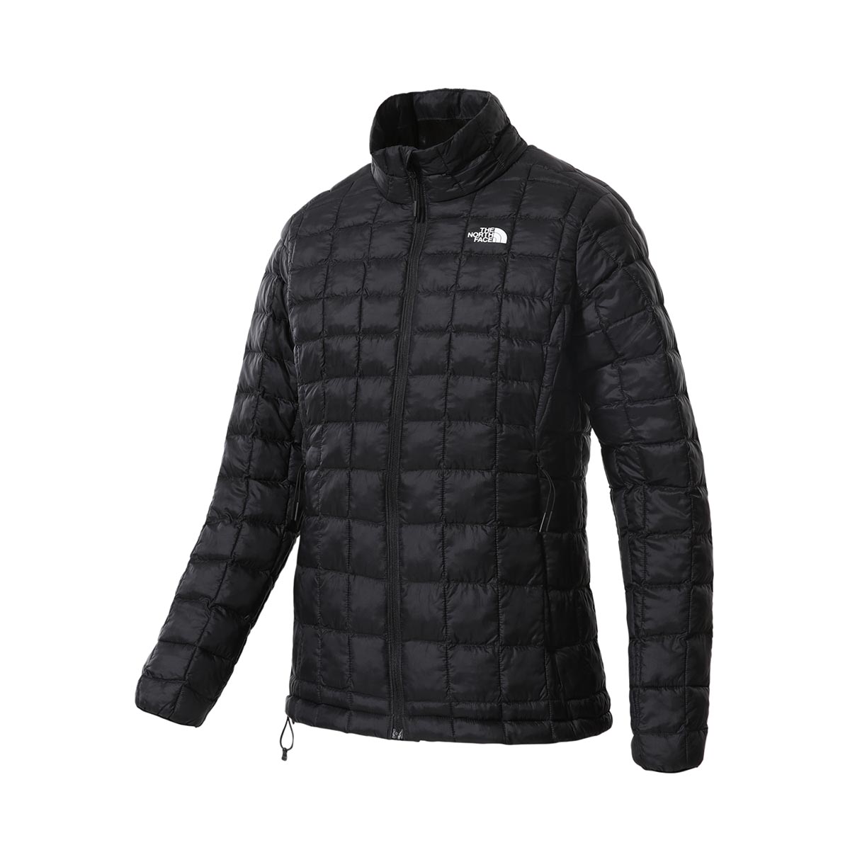 the north face eco jacket