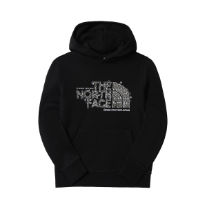 THE NORTH FACE - TEENS DREW PEAK HOODIE