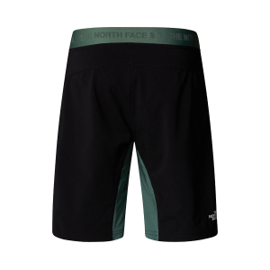 THE NORTH FACE - FELIK SLIM TAPERED SHORT