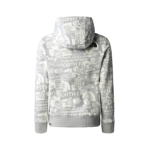 THE NORTH FACE - LIGHT PO HOODIE