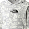 THE NORTH FACE - LIGHT PO HOODIE