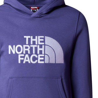 North face drew peak hoodie youth store