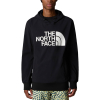 THE NORTH FACE - TEKNO LOGO HOODIE