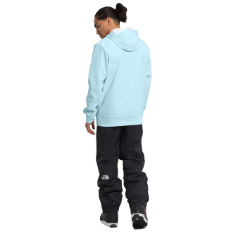 The north face tekno logo hoodie on sale