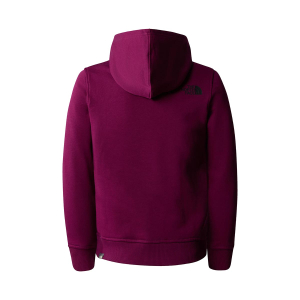 THE NORTH FACE - TEENS' BOX PULLOVER HOODIE