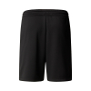 THE NORTH FACE - NEVER STOP SHORT