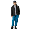 THE NORTH FACE - WARM ANTORA RAIN JACKET