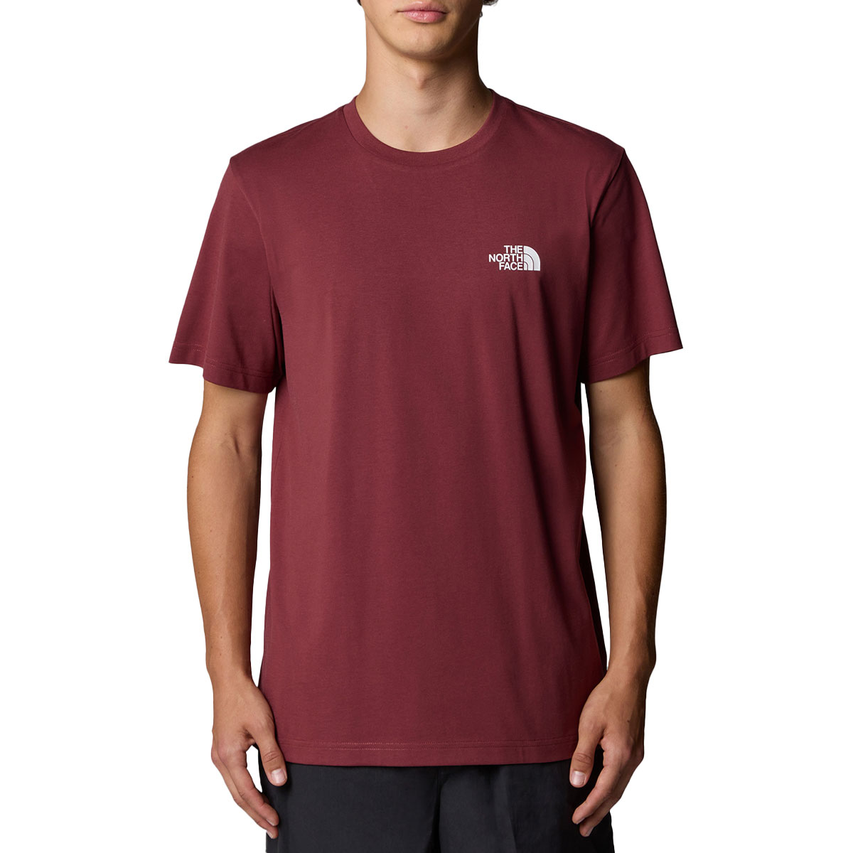 THE NORTH FACE - SIMPLE DOME