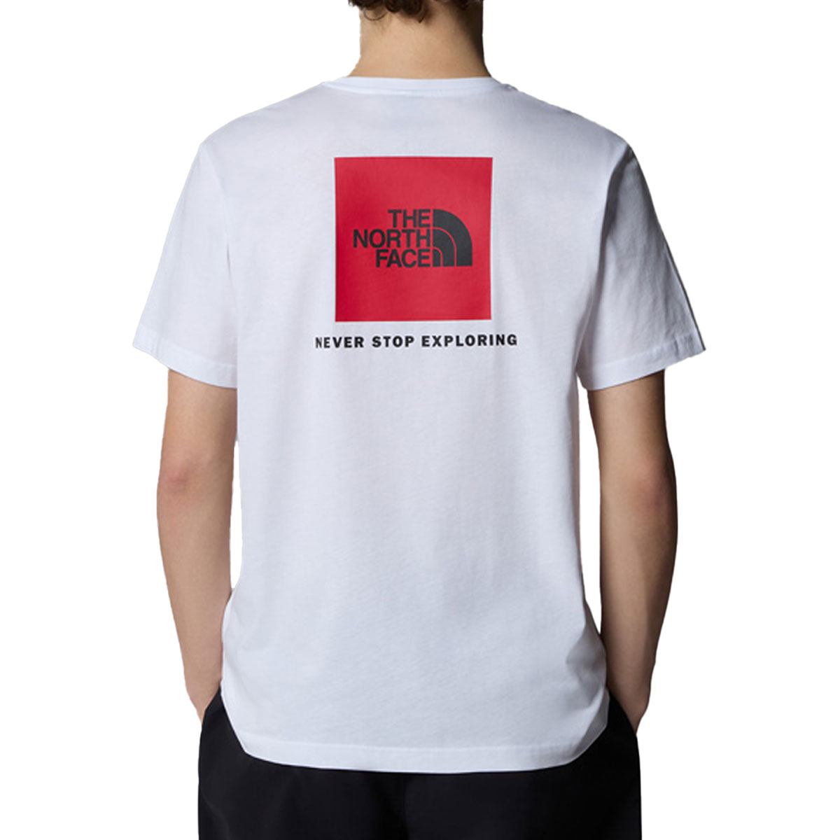 THE NORTH FACE - REDBOX