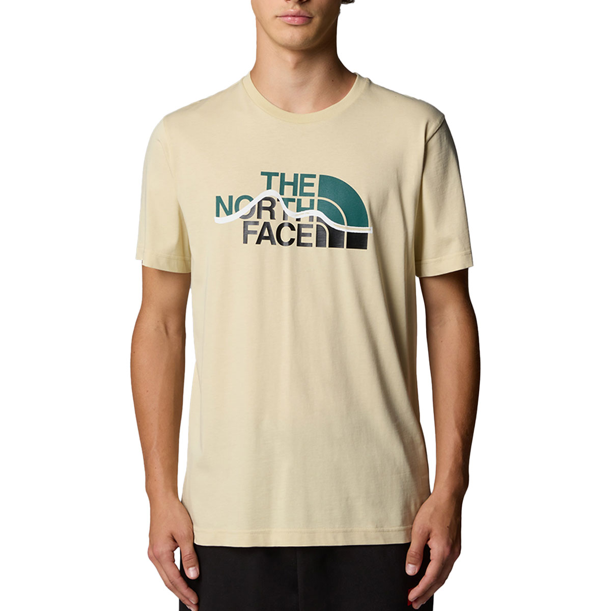 THE NORTH FACE - MOUNTAIN LINE T-SHIRT