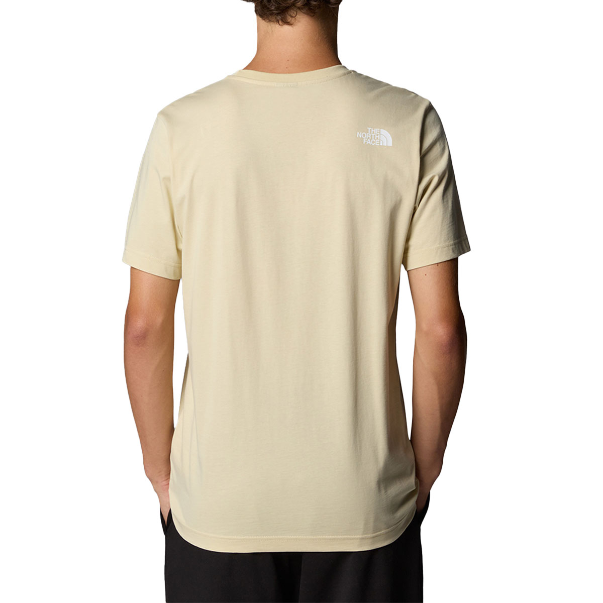 THE NORTH FACE - MOUNTAIN LINE T-SHIRT