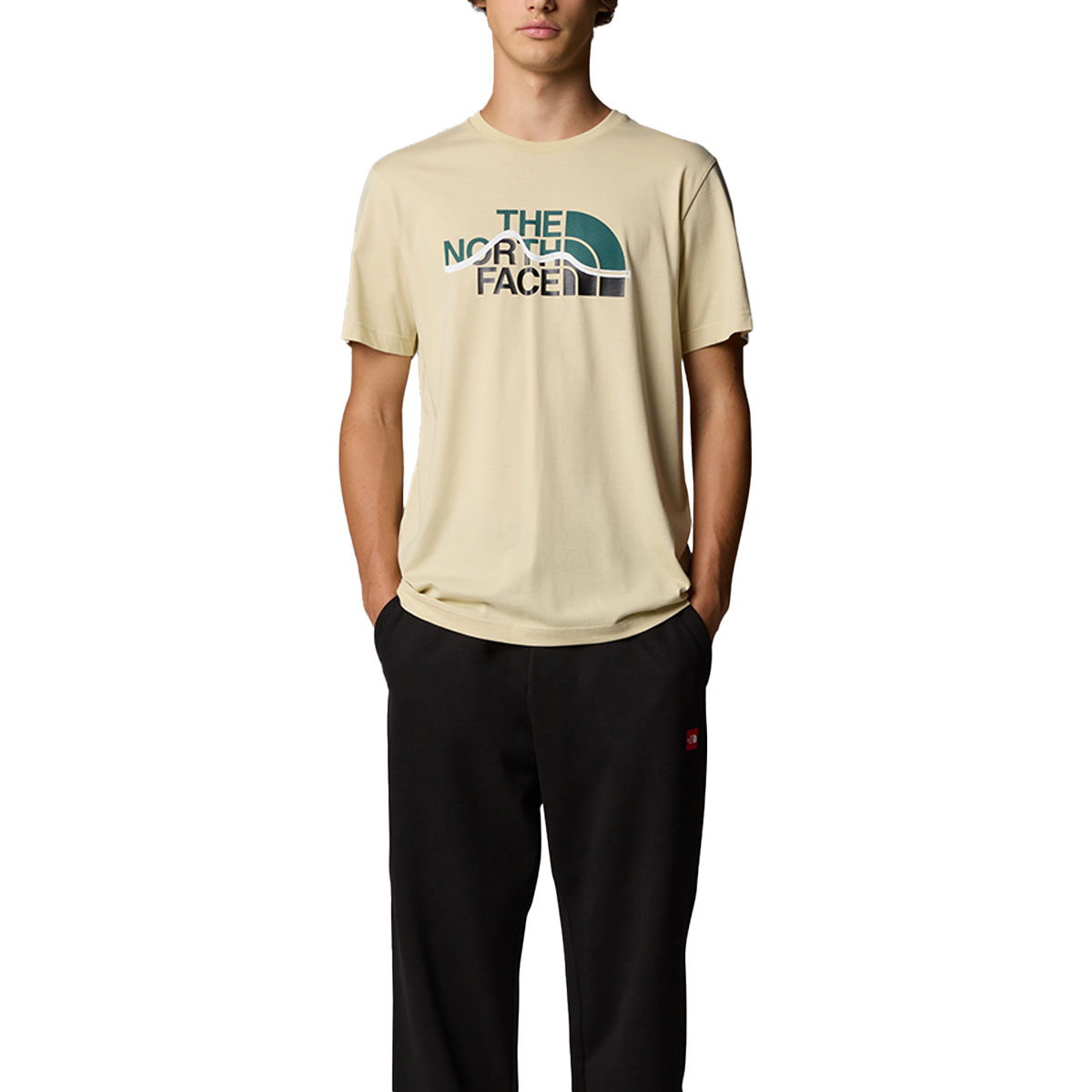 THE NORTH FACE - MOUNTAIN LINE T-SHIRT