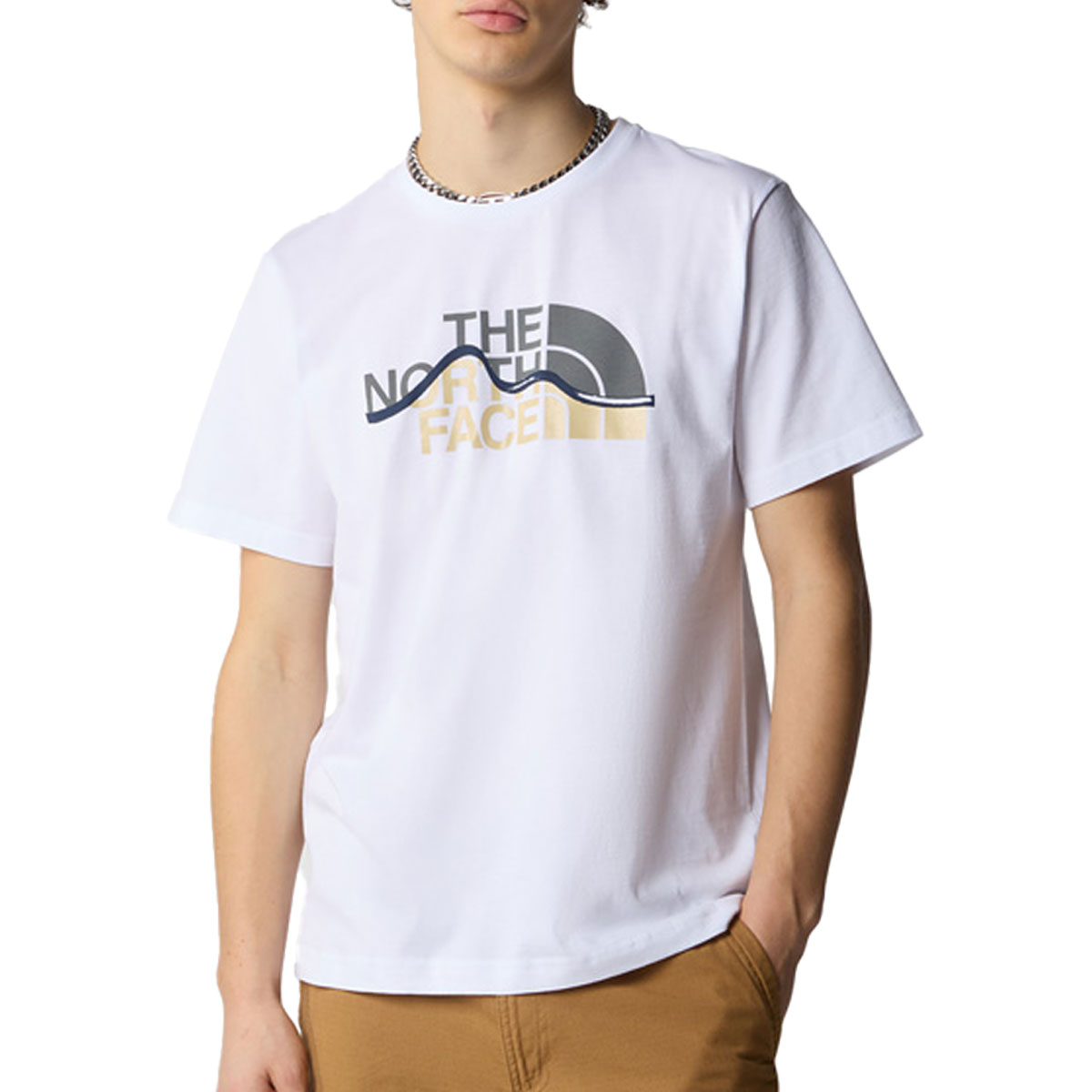 THE NORTH FACE - MOUNTAIN LINE T-SHIRT