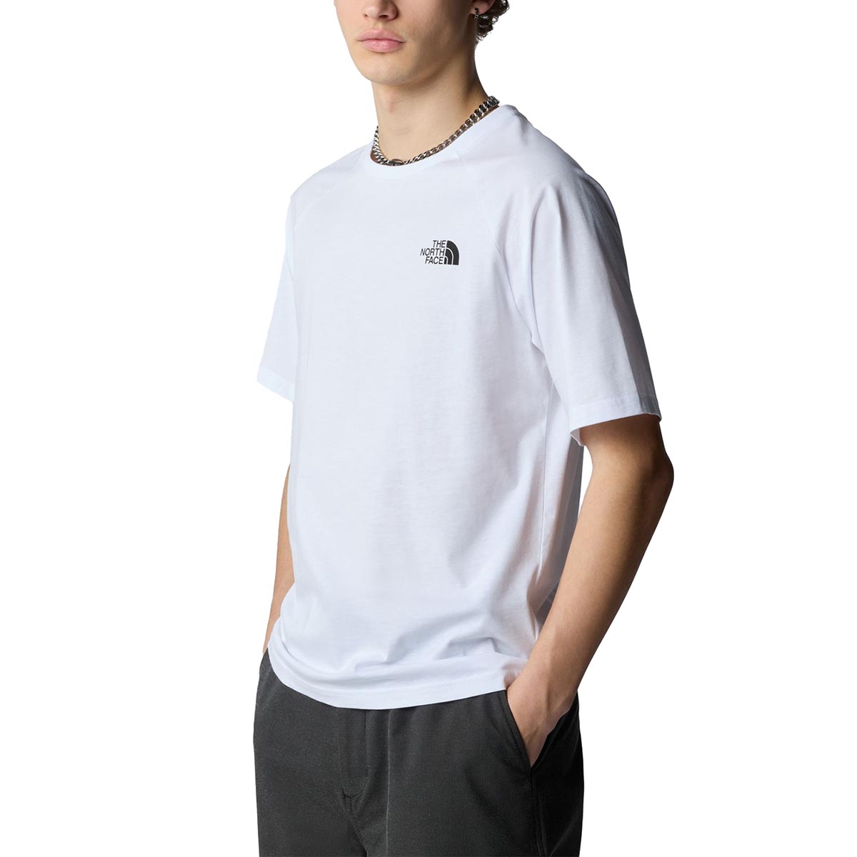 THE NORTH FACE - NORTH FACES TEE