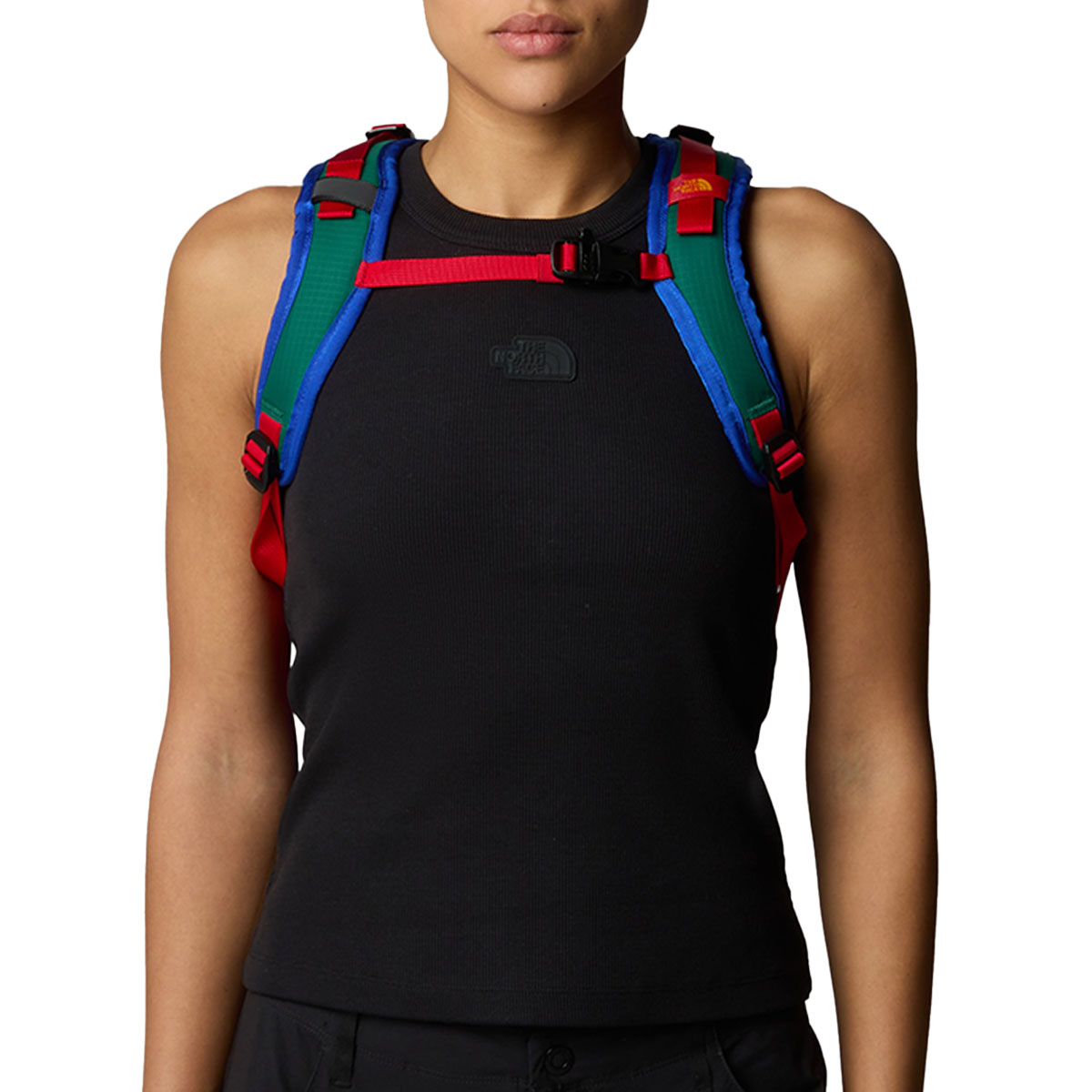 THE NORTH FACE - BASIN 15 L
