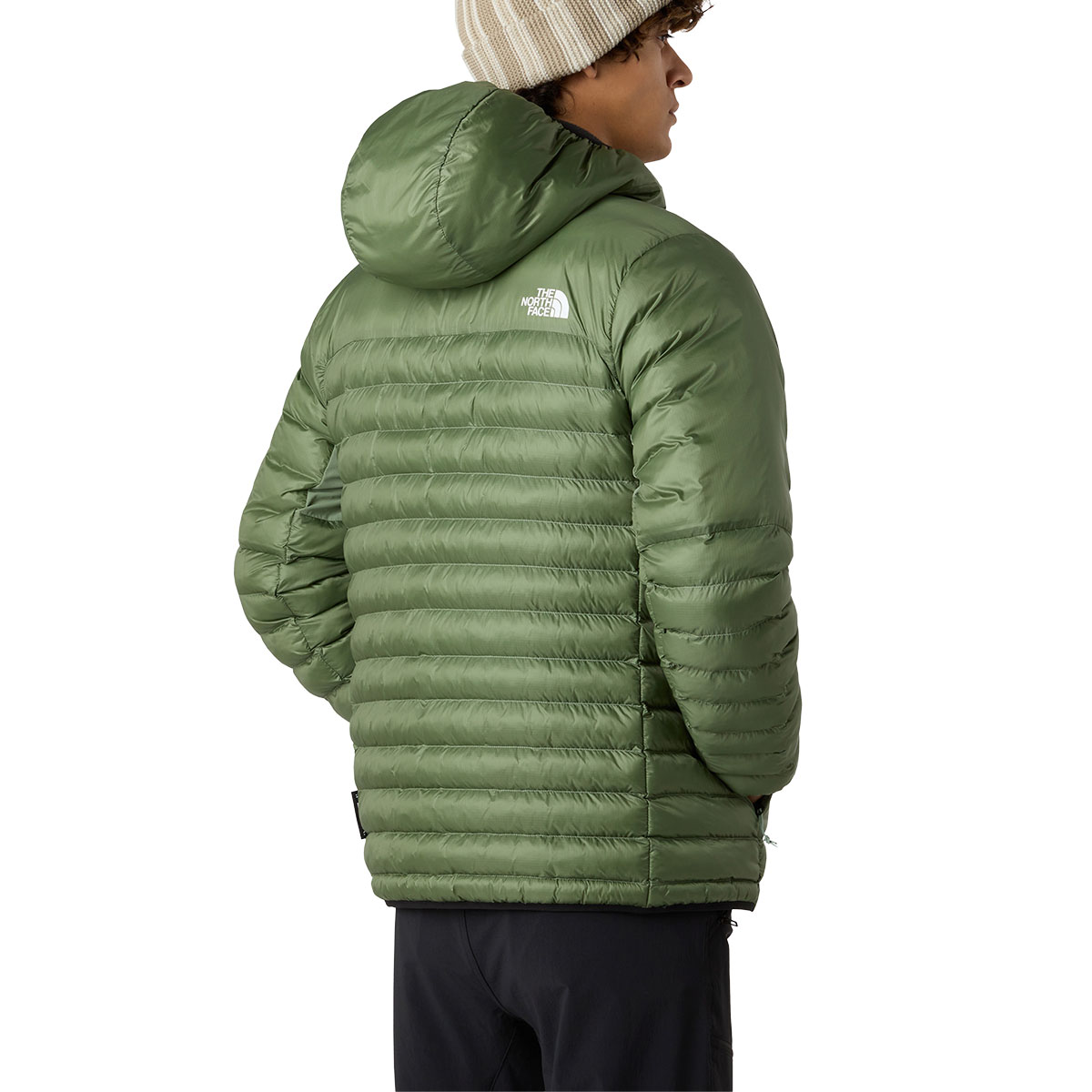 THE NORTH FACE - TERRA PEAK HOODED JACKET