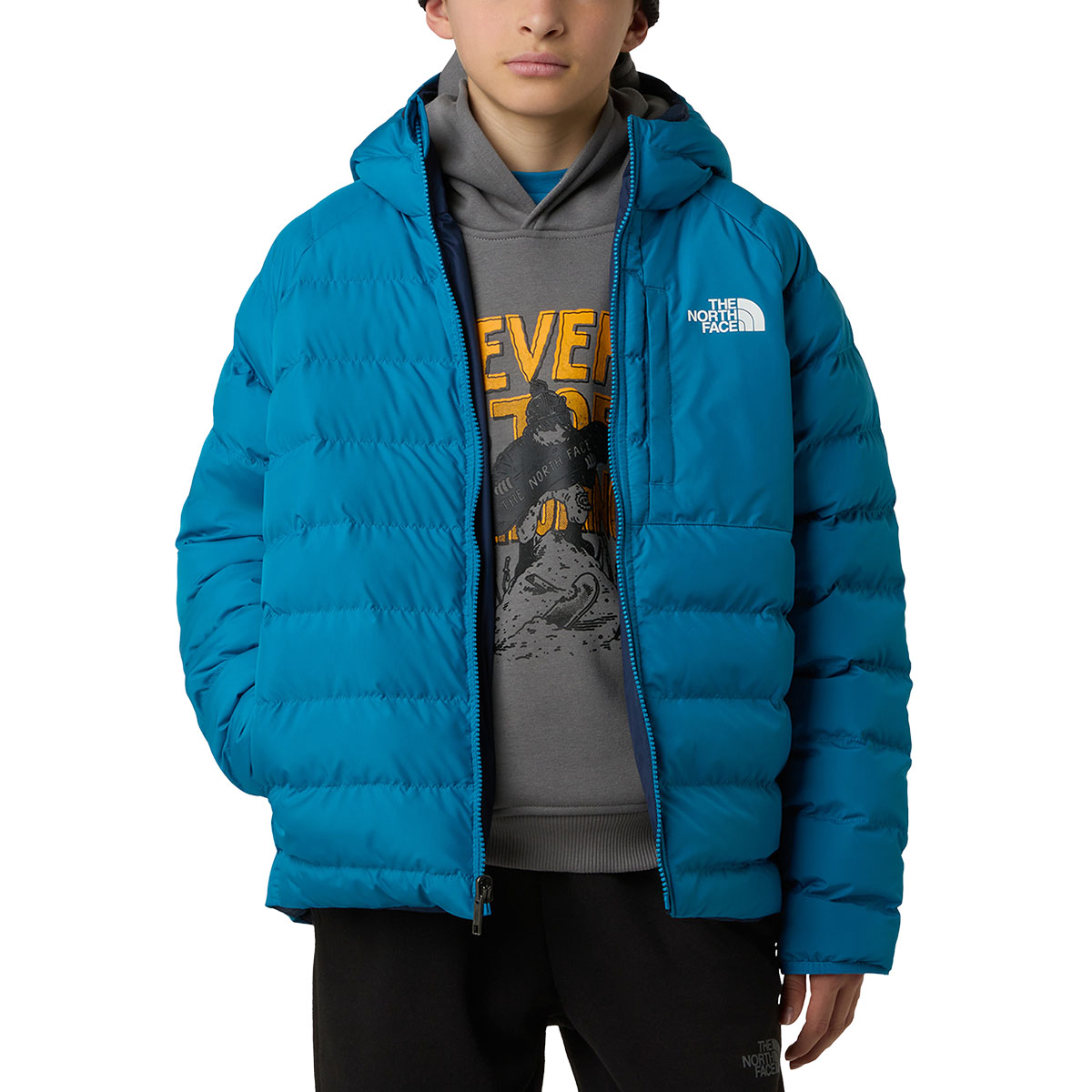 THE NORTH FACE - REVERSIBLE PERRITO JACKET