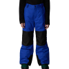 THE NORTH FACE - FREEDOM INSULATED PANT
