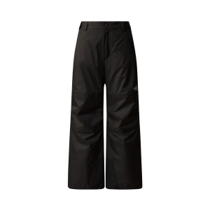 THE NORTH FACE - FREEDOM INSULATED PANT