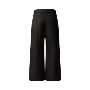 THE NORTH FACE - FREEDOM INSULATED PANT