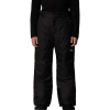 THE NORTH FACE - FREEDOM INSULATED PANT