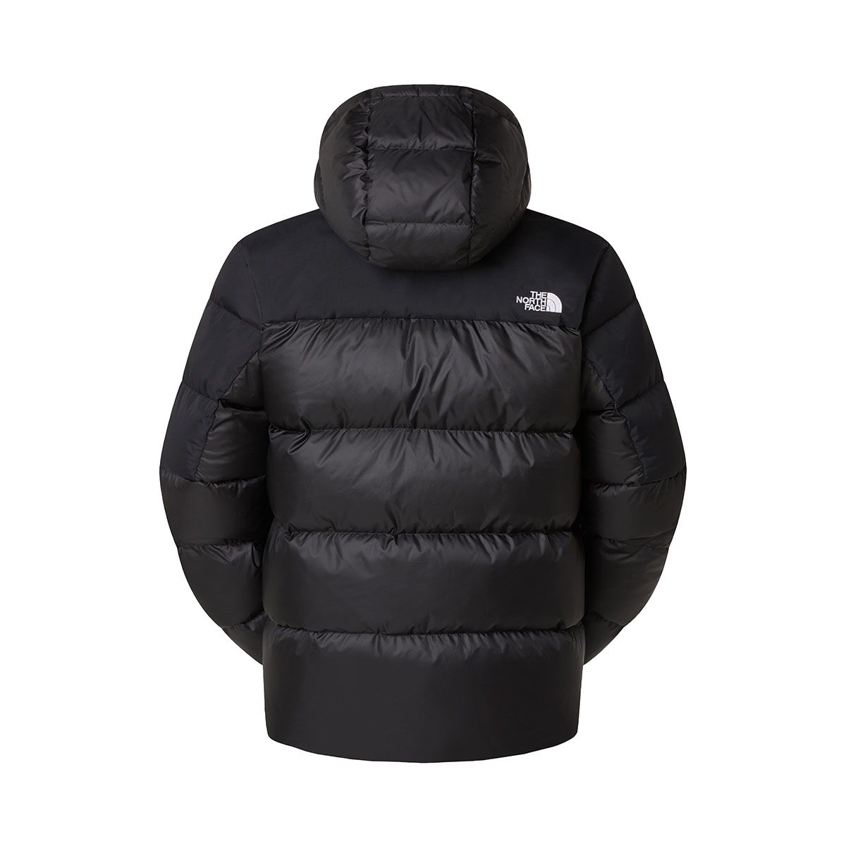 THE NORTH FACE - DIABLO DOWN 2.0 HOODED
