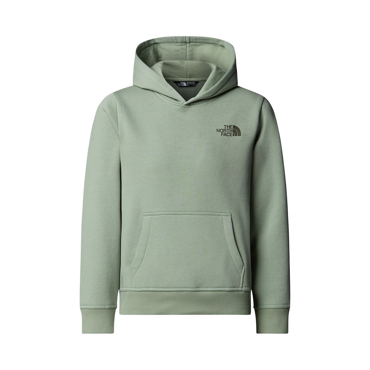 THE NORTH FACE - TEEN BOX NSE P/O HOODIE