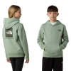THE NORTH FACE - TEEN BOX NSE P/O HOODIE