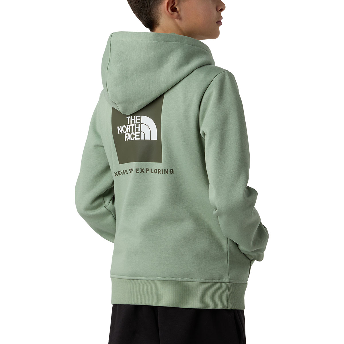 THE NORTH FACE - TEEN BOX NSE P/O HOODIE