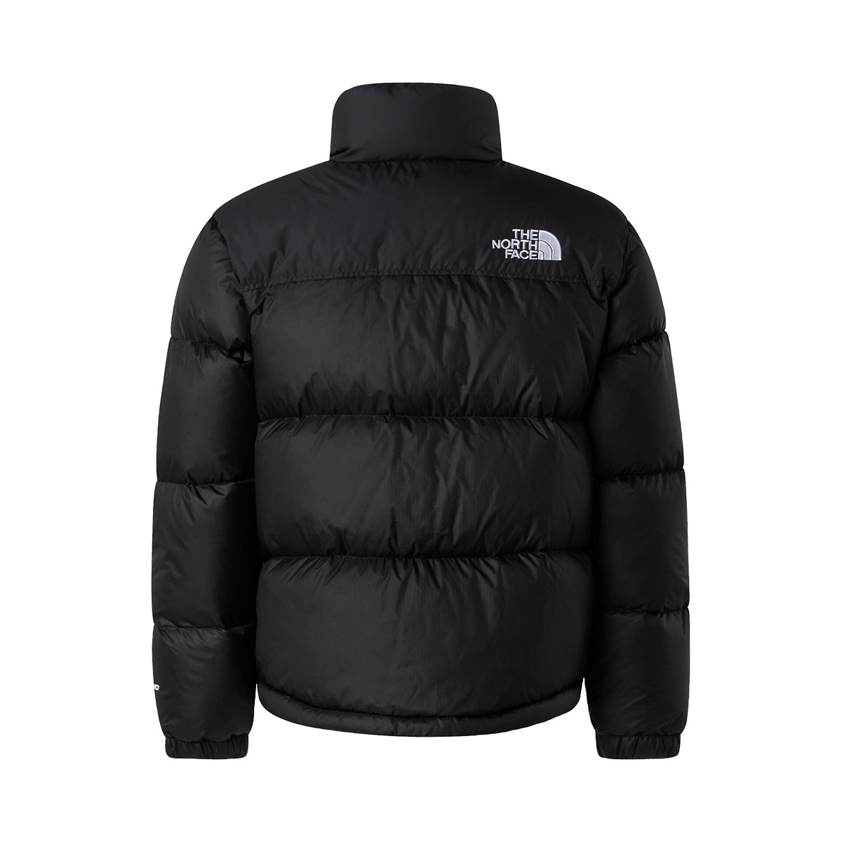 THE NORTH FACE - TEEN 1996 RETRO NUPTSE
