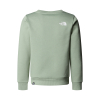 THE NORTH FACE - TEEN SIMPLE DOME CREW