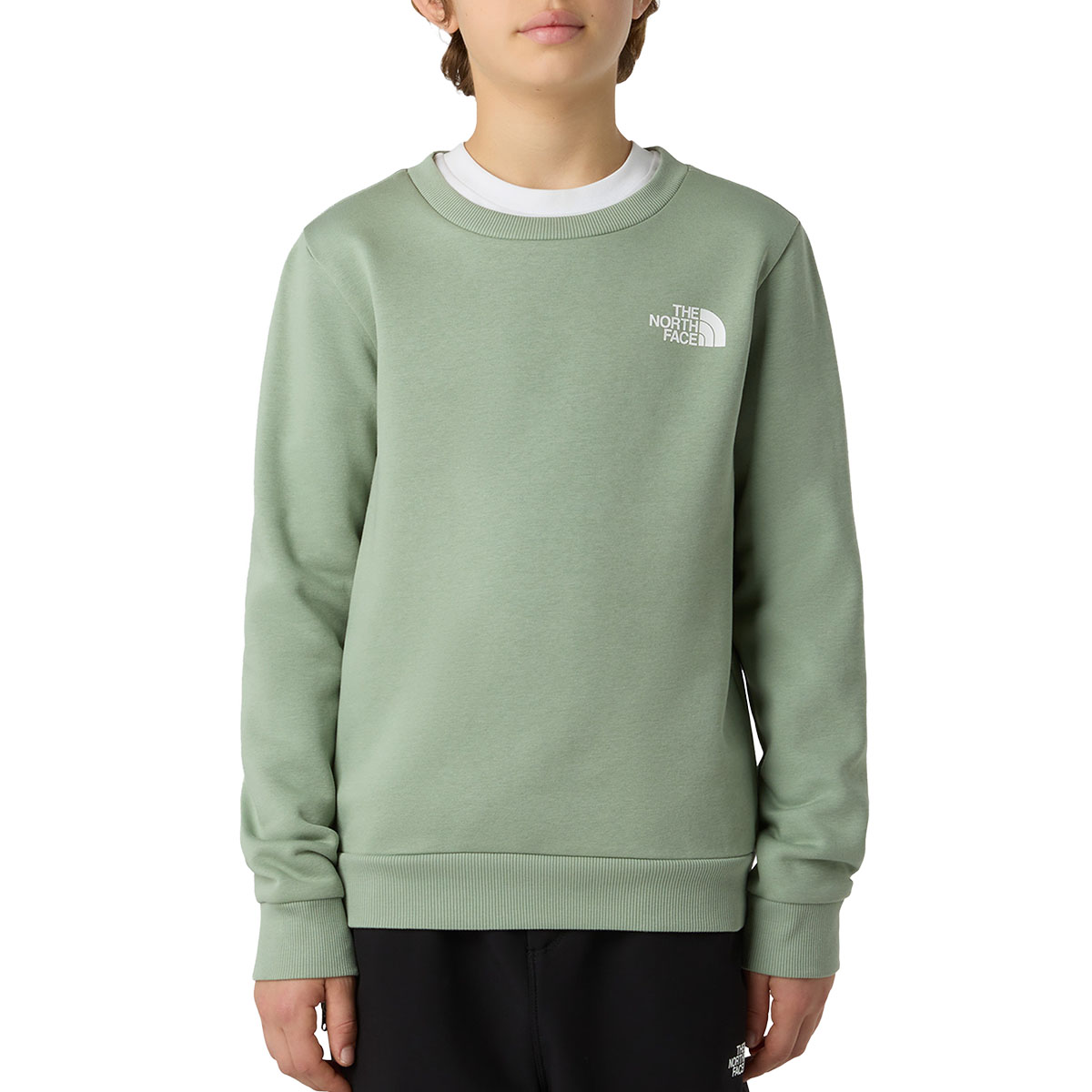 THE NORTH FACE - TEEN SIMPLE DOME CREW
