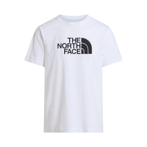 THE NORTH FACE - EVOLUTION HALF DOME REGULAR T-SHIRT