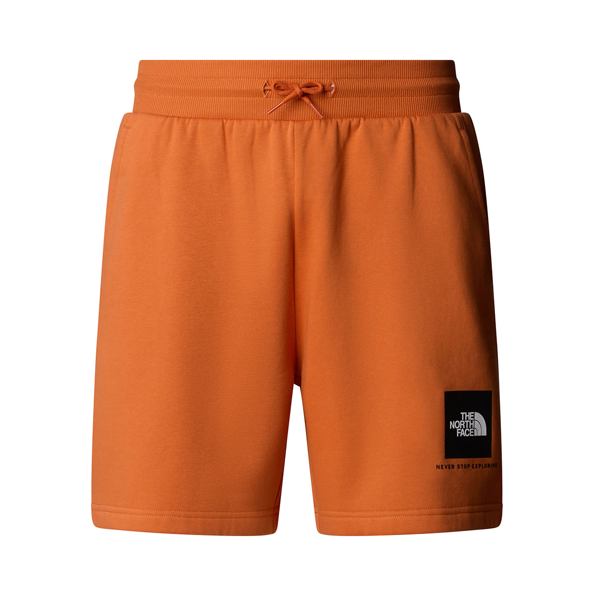 THE NORTH FACE - BOX NSE REGULAR SHORT