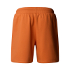 THE NORTH FACE - BOX NSE REGULAR SHORT
