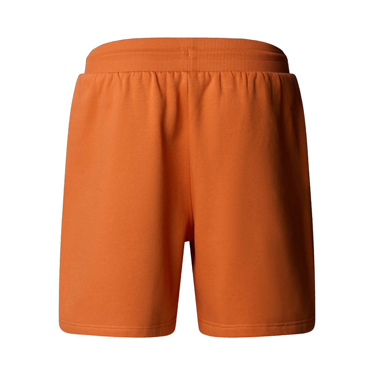 THE NORTH FACE - BOX NSE REGULAR SHORT