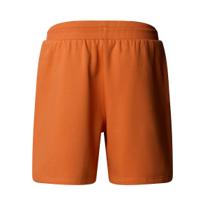 THE NORTH FACE - BOX NSE REGULAR SHORT