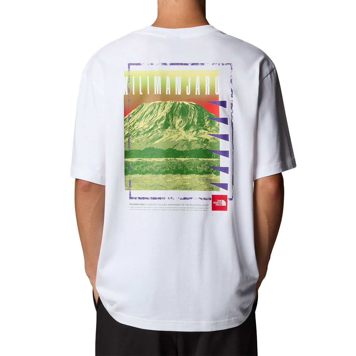 THE NORTH FACE - AXYS OVERSIZED TEE