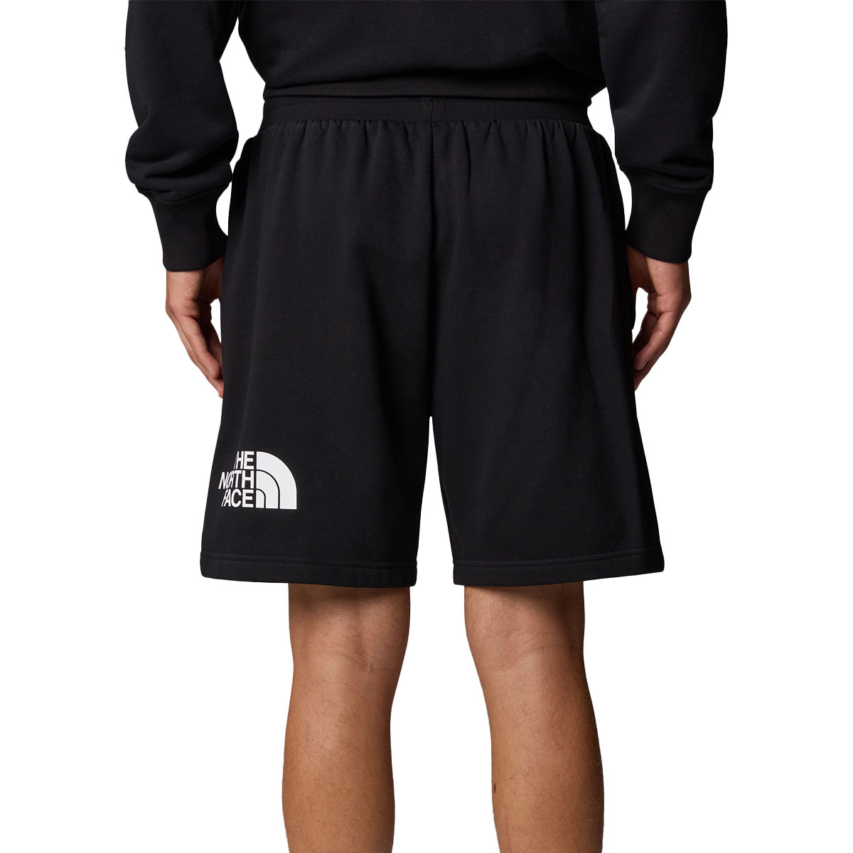 THE NORTH FACE - EASY REGULAR SHORT