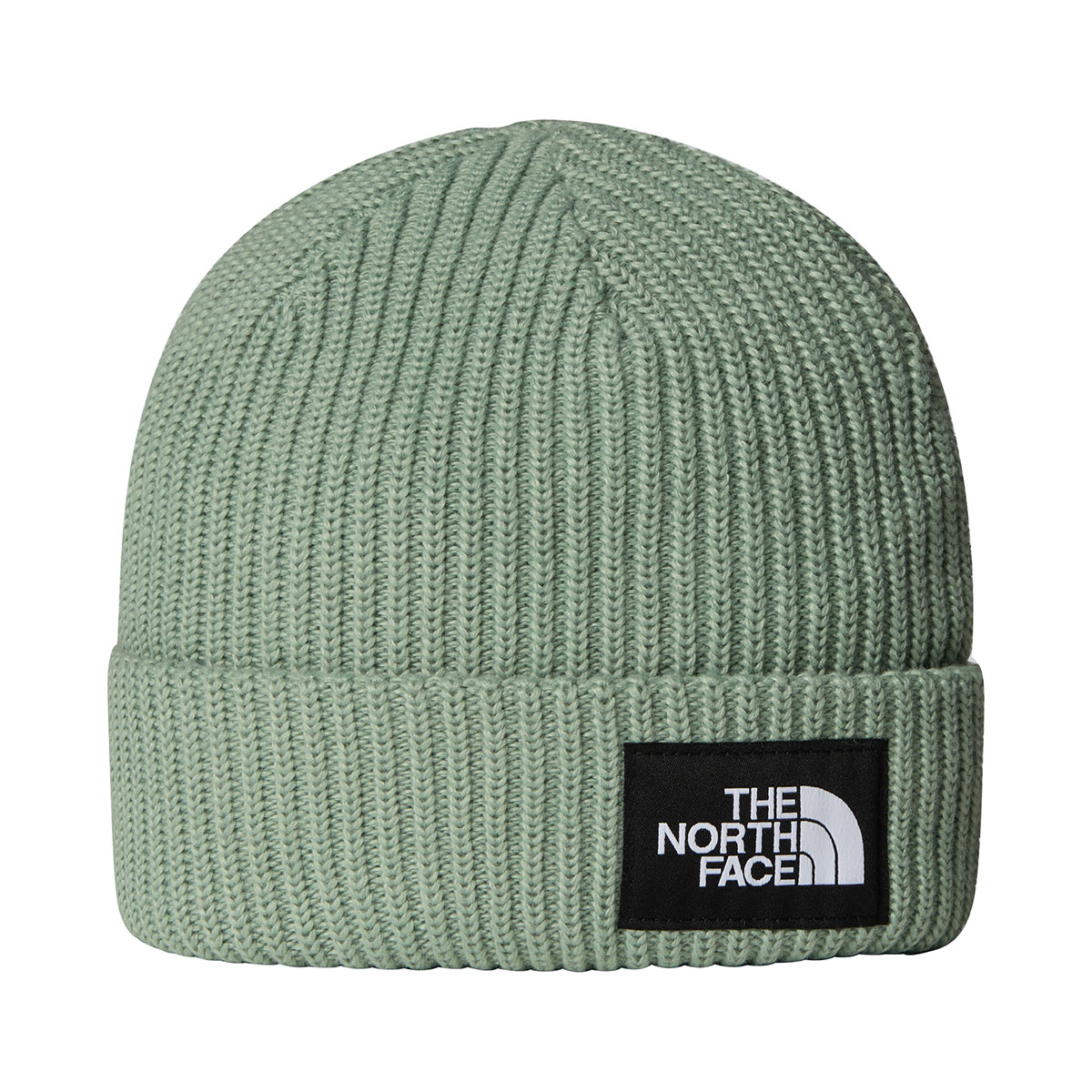 THE NORTH FACE - KIDS SALTY LINED BEANIE