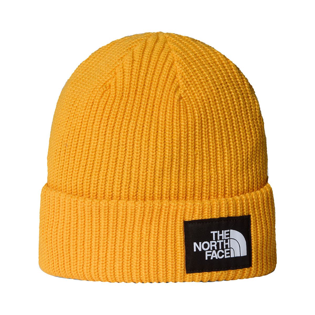 THE NORTH FACE - SALTY LINED BEANIE