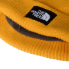 THE NORTH FACE - SALTY LINED BEANIE