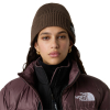 THE NORTH FACE - LOGO BOX CUFFED ΒΕΑΝΙΕ
